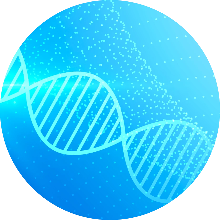 DNA、RNA分子結構